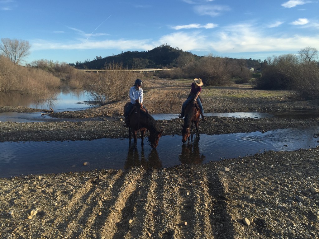 Salinas River February 2016