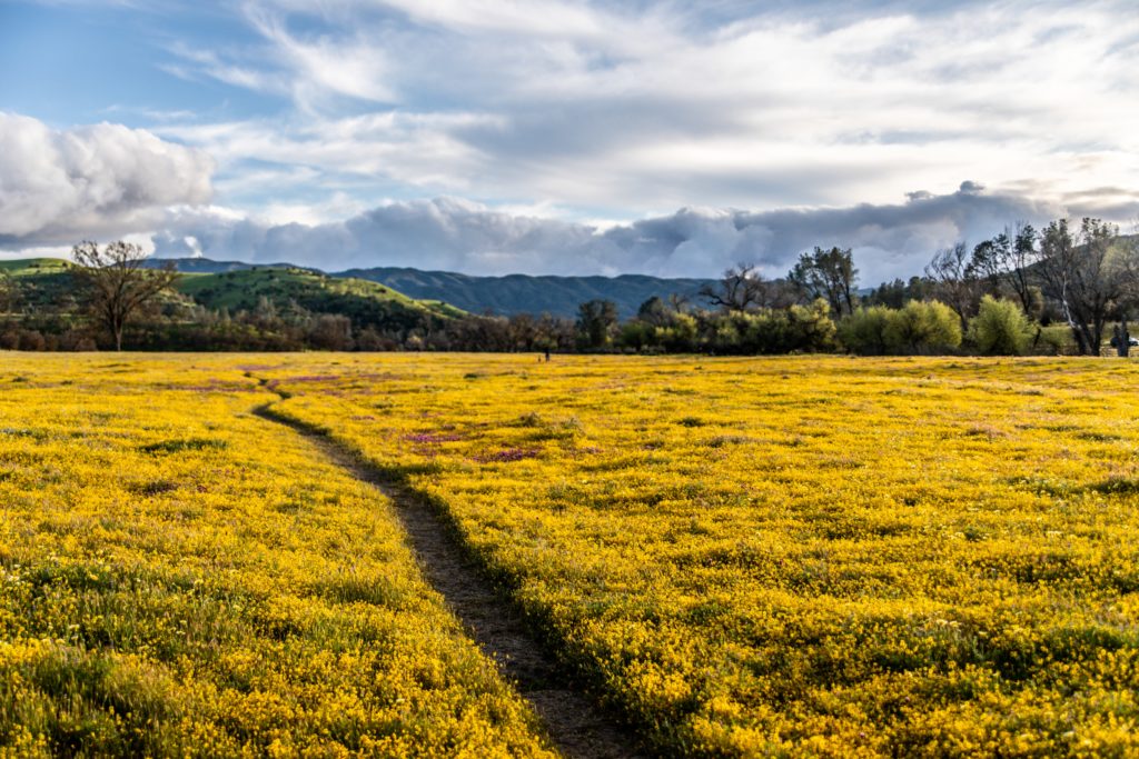 san luis obispo county california real estate