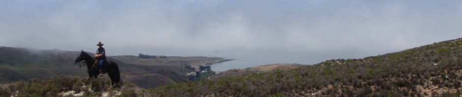 Ocean view on the trail