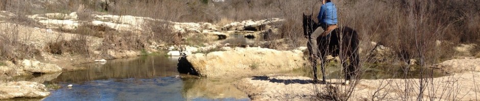 Salinas Riverbed Feb 2013